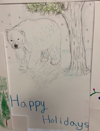Bear image